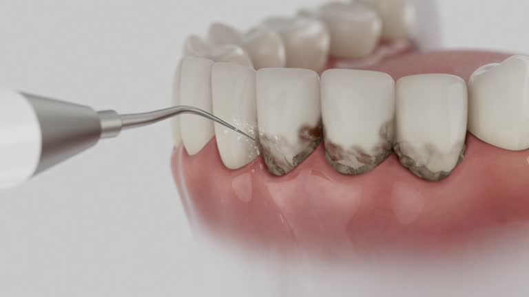 Reliable Dental contractor in Morton Grove, IL by Dentist Open Now